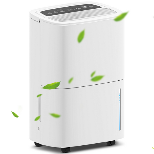 https://avasamnew.s3.amazonaws.com/product/GB010126/S0671580195/main.png