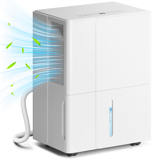 https://avasamnew.s3.amazonaws.com/product/GB010126/S0671580196/main.png