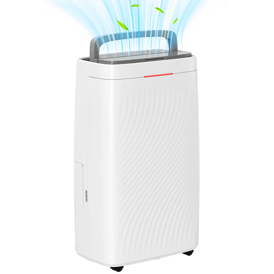 https://avasamnew.s3.amazonaws.com/product/GB010126/S0671580197/main.png