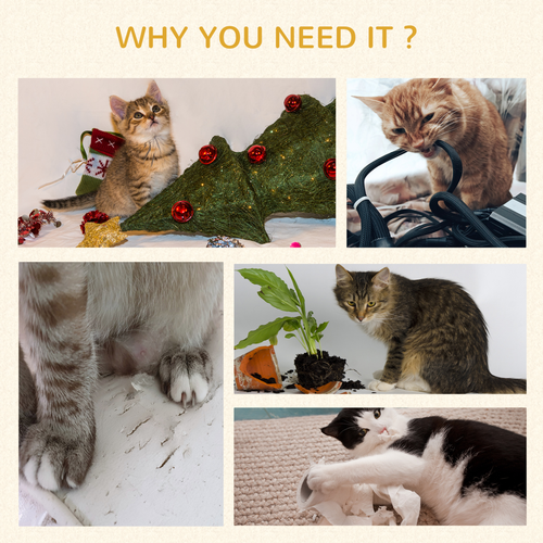 https://images.avasam.com/?w=500&url=https://avasamnew.s3.amazonaws.com/product/GB010126/S0671097106/6.png
