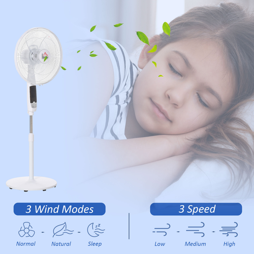 https://images.avasam.com/?w=500&url=https://avasamnew.s3.amazonaws.com/product/GB010126/S0671079424/5.png